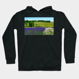 Hilly Lavender Countryside Hoodie